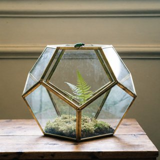 T20 recraft-v4