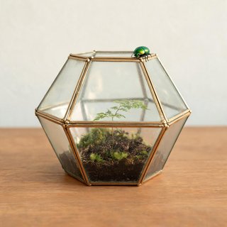 T32 seedream-5.0-lite